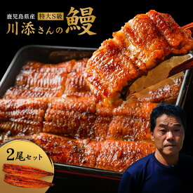 【1000円OFFクーポン配布中】【テレビで話題！食通有名人絶賛のふわふわ最高級鹿児島県産うなぎ蒲焼き】生産者直営鰻専門店うなぎ仁監修【川添さんのS級うなぎ】特大2尾入り 合計350g超 国産 鰻 蒲焼き ギフト お中元 お歳暮 母の日 父の日 敬老の日 無料ギフト包装 お祝い