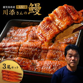 【1000円OFFクーポン配布中】【テレビで話題！食通有名人絶賛のふわふわ最高級鹿児島県産うなぎ蒲焼き】生産者直営鰻専門店うなぎ仁監修【川添さんのS級うなぎ】特大3尾入り 合計525g超 国産 鰻 蒲焼き ギフト お中元 お歳暮 母の日 父の日 敬老の日 無料ギフト包装 お祝い