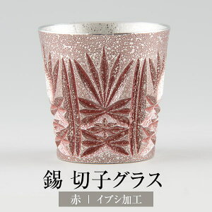   ؎qOX  ؎q  CuVH 120ml  { ˔ F 傱 Mtg v[g 蕨 i p  LOi LO j a җ  
