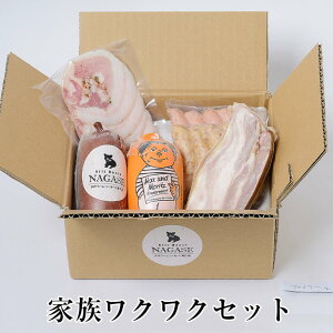 冷蔵発送のみ 家族ワクワクセット 豚肉 おかず おつまみ お弁当 贈り物 ギフト プレゼント 国産 九州 長崎 送料無料 GrisHauseNAGASE タビグルメ