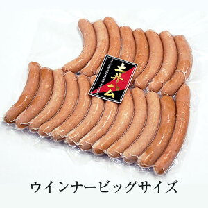 ECi[rbOTCY hCc n Mtg ܂  e v[g 蕨 Lv B Yn  L yqn ^rO