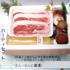 p[eB[Zbg 5l~6lO IX ő ڂ O WrG Y BY 啪 VR Ⓚ Mtg v[g  ݂ ^rO