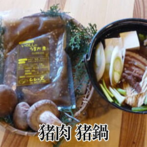   l ڂ O WrG Y BY 啪 VR Ⓚ Mtg v[g  ݂ ^rO