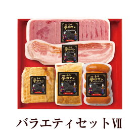 バラエティセット (NPG-16) 肉 豚肉 ギフト おつまみ おかず プレゼント 贈り物 国産 九州 産地直送 送料無料 にくせん かごしまや 父の日