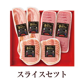 スライスセット (NPG-17) 肉 豚肉 ギフト おつまみ おかず プレゼント 贈り物 国産 九州 産地直送 送料無料 にくせん かごしまや 父の日