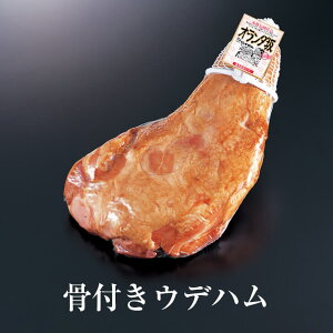 tEfn (NPG-02)  ؓ Mtg v[g 蕨 Y B Yn  ɂ ^rO
