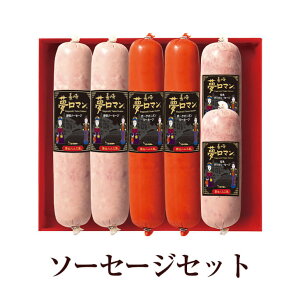 \[Z[WZbg (NPG-08)  ؓ Mtg ܂  v[g 蕨 Y B Yn  ɂ ^rO