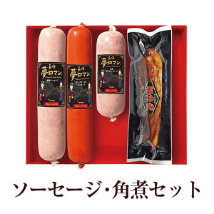 \[Z[WEpσZbg (NPG-09)  ؓ Mtg ܂  v[g 蕨 Y B Yn  ɂ ^rO
