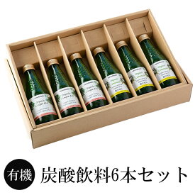 ジュース 有機炭酸飲料（国産）6本セット(有機レモネード3本+有機ジンジャーエール3本) レモネード ジンジャーエール オーガニック 有機 炭酸水 手土産 お祝い事 プレゼント 贈り物 誕生日 福岡県 三宗貿易 かごしまや 父の日