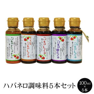 ݖ nol 100ml5{Zbg  Y I[uIC |ݖ h  Ђ̑f g ۑsgp Ösgp hݖ ^rO