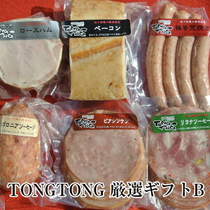 TONGTONG IMtgB EBi[ rAVP \[Z[W [Xn x[R Y F{  nH[TONGTONG ^rO