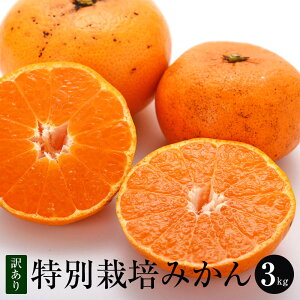 【訳あり】特別栽培 温州みかん 3kg 大きさ色々 送料無料 熊本県産 熊本 みかん 高級 美味しい 甘い みかん ファームオリンピア タビグルメ
