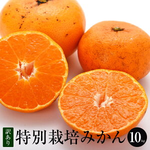 y󂠂zʍ͔| B݂ 10kg 傫FX  F{Y F{ ݂   Â ݂ t@[IsA ^rO