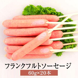 ソーセージ ウインナー フランクフルトソーセージ 60g × 20本 セット 詰め合わせ バーベキュー 豚肉 国産 肉 ギフト 贈答 送料無料 ナンチク タビグルメ