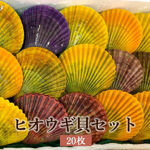 qIEMLZbg 20 L Jt VN N   Y   Y 邪Y ^rO