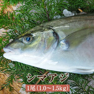 V}AW 1 1.0`1.5kg ܂  ɏ   N  _o JbgH ^pbN   Y   Y 邪Y ^rO