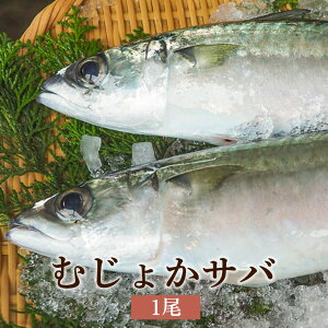 サバ お取り寄せ 魚の人気商品 通販 価格比較 価格 Com サバ お取り寄せ 魚の人気商品 通販 価格比較 価格 Com