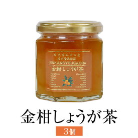 金柑しょうが茶 190g 3個入 金柑 フルーツ お茶 使い切り 国産 九州産 鹿児島産 送料無料 ギフト箱なし 清木場果樹園 タビグルメ