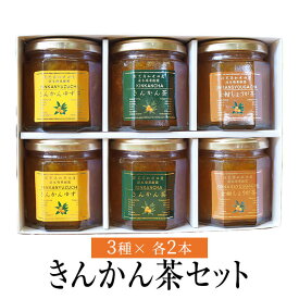 きんかん茶 & きんかんゆず茶 & 金柑しょうが茶 セット190g 6個入 金柑 柑橘 フルーツ お茶 国産 九州産 鹿児島産 送料無料 贈り物 清木場果樹園 タビグルメ