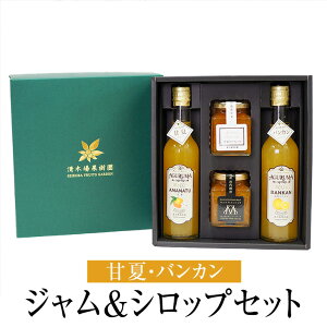 W&VbvZbg 4 l Mtg  É ΂񂩂 k t[c Y BY Y  ؏ʎ ^rO