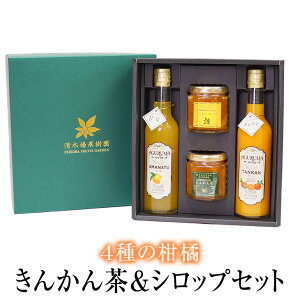 񂩂&VbvZbg 4 l Mtg  É 񂩂 񂩂 䂸 k t[c Y BY Y  ؏ʎ ^rO