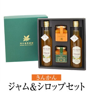 W&VbvZbg 4 l Mtg   񂩂 k t[c Y BY Y  ؏ʎ ^rO