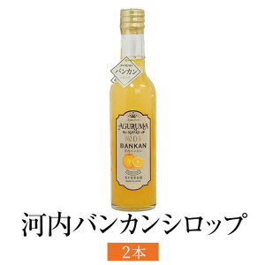 ͓ӊVbv 300ml 2{ oJ t[c L[ ʏ`100% g؂ Y BY Y  MtgȂ ؏ʎ ^rO