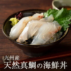 九州産 天然真鯛の海鮮丼 たい タイ 海鮮丼の具 セット 国産 株式会社ウエダ かごしまや 父の日 母の日