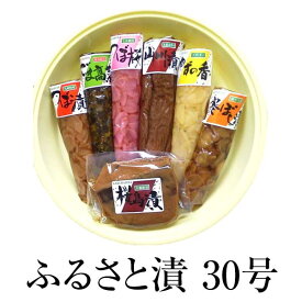 漬物 お取り寄せ 鹿児島 ふるさと漬（中）1010g 食品 詰め合わせ ギフト 内祝い お祝い お茶請け ごはんのお供 藤崎商事株式会社 タビグルメ