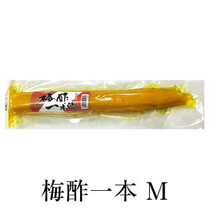 Е   ~|{@M {×3Zbg Hi lߍ킹 Mtg j j  ͂̂ 菤 ^rO