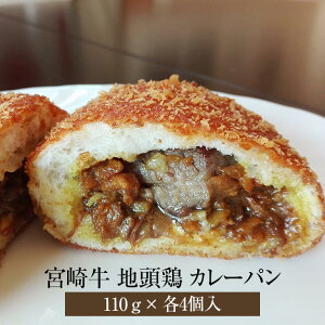 J[p {苍 {n{J[pZbg 110g×e4 {苍 јa {{ {n{ { p Ⓚ Y {Y  i Mtg 蕨 v[g  J[X 
