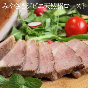 ݂₴WrGVR[Xg 250g × 1{ {莭  [Xg Ⓚ Y BY {Y  i ܂ Mtg v[g  Y Yn  EGlX ^rO