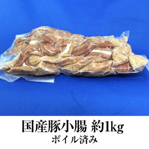 Y  1kg × 3pbN ؓ z  ē  ύ  Ⓚ Y ܂ Zbg Mtg v[g  TVC~[g ^rO