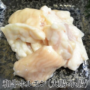 az 100g × 3pbN a i  咰  z ܂ т̂ ē Mtg v[g  Y Ɩp  TVC~[g ^rO
