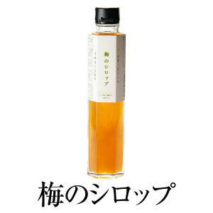 ~̃Vbv 200ml × 2{ Vbv n ~  Zbg Y BY {Y v[g p i 蕨 Mtg  {ʍH[Ă炷 ^rO