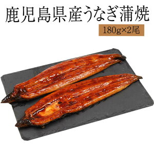 yp̉N̓ Y ȂĂ 140g×2 180g×2 YV Ⓚ Zbg Mtg v[g    Ε j j ȏd CN G[Gt ^rO