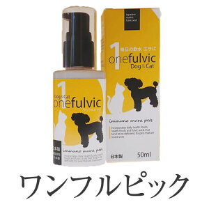 ybgTvg trbN Y ybgpi ybg Tv Nێ Ɖu Xv[  t{_ ~l r^~ Mtg v[g  ЃNGCg ^rO