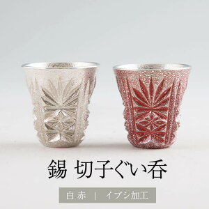  F؎q F ԐFH 2Zbg 45ml x 2 Zbg { ˔ Vv 蕨 Mtg v[g 蕨 i p  LOi LO j a җ  