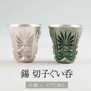  F؎q F ΐFH 2Zbg 45ml x 2 Zbg { ˔ Vv 蕨 Mtg v[g 蕨 i p  LOi LO j a җ  