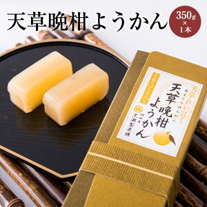 V̔ӊ悤 1{ 350g r r ӊ(΂񂩂) Vӊ ͓ӊ VސFi n XC[c  aَq َq   yY v`Mtg V F{