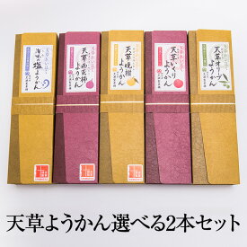 父の日 天草ようかん 選べる2本セット 羊羹 羊かん 塩ようかん 天草南蛮柿 完熟いちじく イチジク 無花果 天草晩柑 河内晩柑 天草いくり すもも 李 ご当地 スイーツ おやつ 和菓子 手作り 天草 熊本県産 ギフト プレゼント 送料無料 黒瀬製菓舗 かごしまや