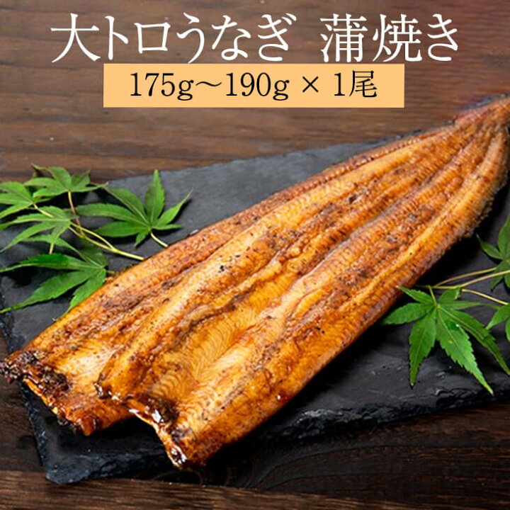 楽天市場 大トロうなぎ 175g 194g 1尾 ブランドうなぎ 大トロ蒲焼き 特大 高級 うなぎ ウナギ 鰻 蒲焼き 大トロ 土用丑の日 お歳暮 国産 九州産 ギフト 贈り物 プレゼント 贈答品 内祝い 冷凍 産地直送 送料無料 鯉家 かごしま 鹿児島の食べ物等の通販かごしまや