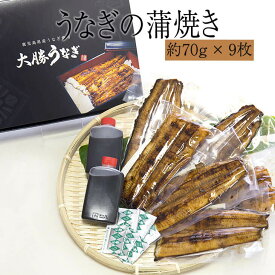土用の丑の日 うなぎの蒲焼き 約70g×9枚 タレ・山椒付 国産鰻 鹿児島産 冷蔵便 土用丑 グルメ プレゼント 内祝い お取り寄せグルメ 送料無料 ギフト 大勝うなぎ タビグルメ