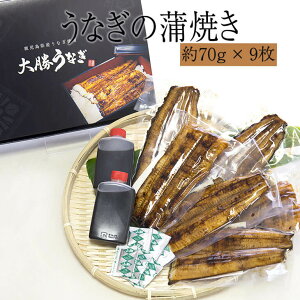 yp̉N̓ Ȃ̊Ă 70g×9 ^ERt YV Y ① ypN O v[g j 񂹃O  Mtg 叟Ȃ ^rO