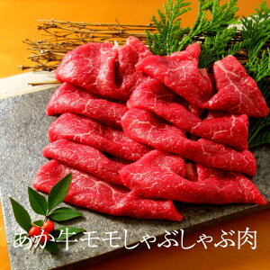 Ԃԗp 400g F{Y   Ԃ   y Zbg Mtg v[g  O{Y ^rO