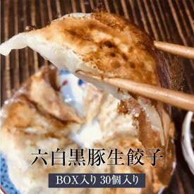 父の日 餃子 六白黒豚生餃子 BOX 冷凍 ギフト 贈り物 箱入り ギョーザ 国産 arbor japan アーバージャパン かごしまや