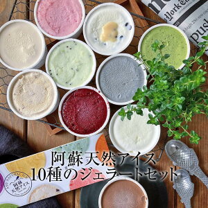 ACX hVRACX10̃WF[gZbg 10Mtg XC[c WF[g Zbg َq Mtg v[g 蕨 p F{ hs hVRACX ^rO