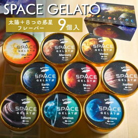 種子島　スペースジェラート9個セット 詰め合わせ アイス ギフト 宇宙 お取り寄せ 送料無料 鹿児島 HOPE タビグルメ