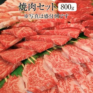 ēZbg јa Y Y{ 800g Ⓚ Ⓚ   {  lߍ킹 Mtg v[g 蕨 p [NXgC^[iVi ^rO