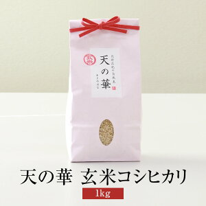 米 自然米 天の華 1kg 玄米 コシヒカリ 無肥料 無農薬 国産 九州産 佐賀県産 贈り物 お祝い 自然栽培園北村 タビグルメ